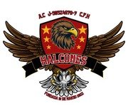 Logos de equipos de la liga Libertador