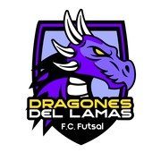 Logos de equipos de la liga Libertador