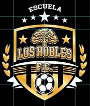 Logos de equipos de la liga Libertador